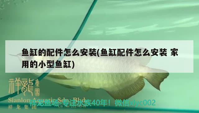 魚缸的配件怎么安裝(魚缸配件怎么安裝家用的小型魚缸)