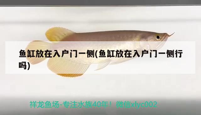 魚缸放在入戶門一側(cè)(魚缸放在入戶門一側(cè)行嗎)