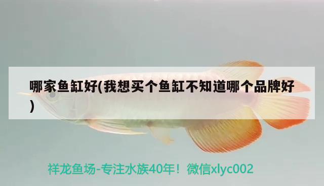 哪家魚缸好(我想買個魚缸不知道哪個品牌好) 水溫計