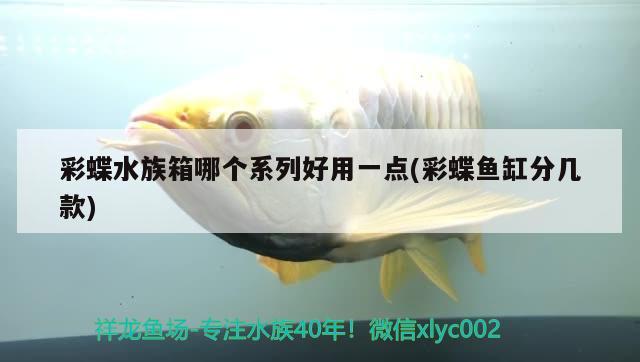 彩蝶水族箱哪個系列好用一點(彩蝶魚缸分幾款)