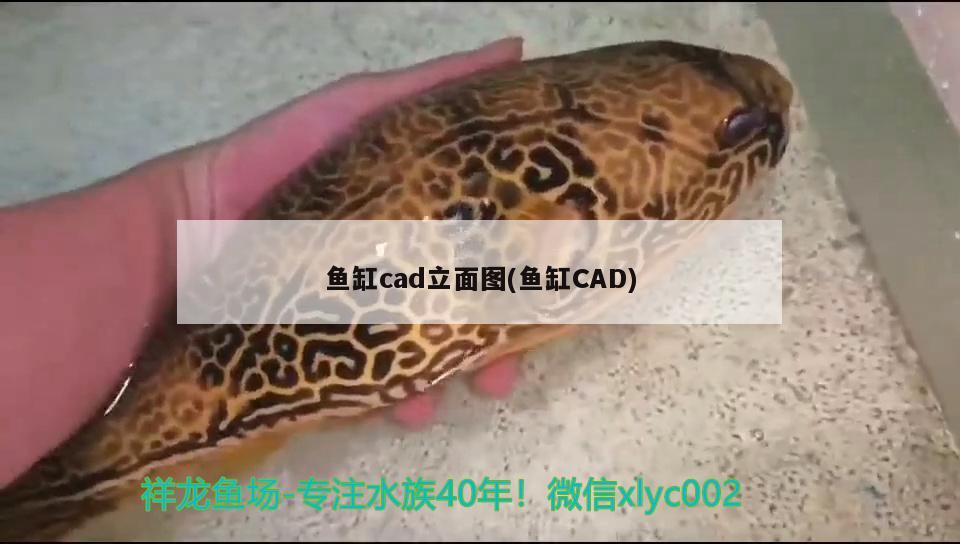 魚(yú)缸cad立面圖(魚(yú)缸CAD) 細(xì)線銀板魚(yú)苗