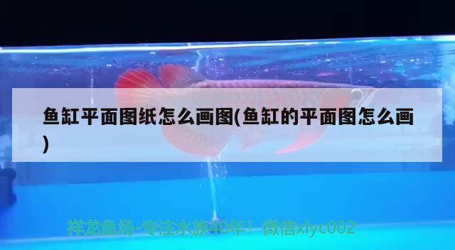 咸陽金龍魚廠怎么樣呀招聘（咸陽金龍魚車間圖片） 孵化器