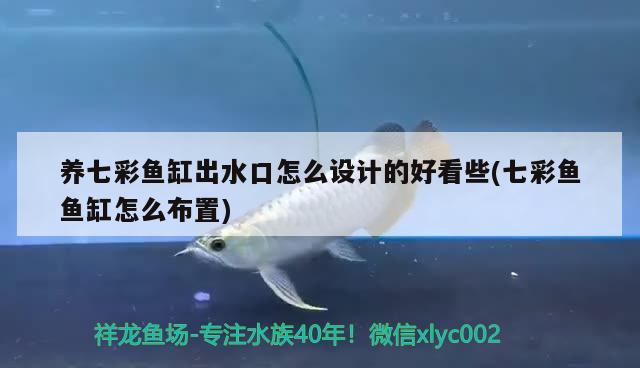 養(yǎng)七彩魚缸出水口怎么設計的好看些(七彩魚魚缸怎么布置) 金龍福龍魚