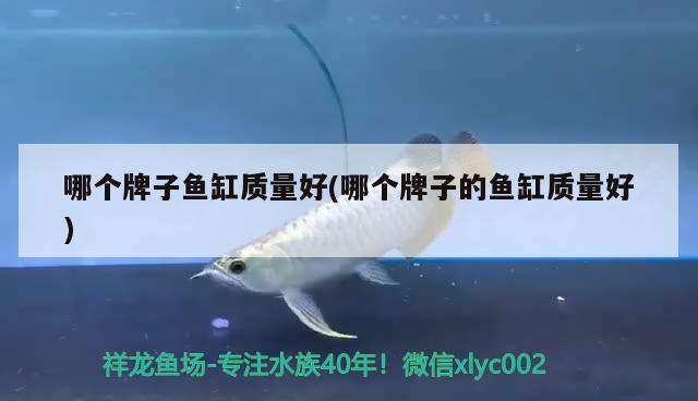 甘孜藏族自治州水族館魟魚的基本生活習(xí)性及狀況