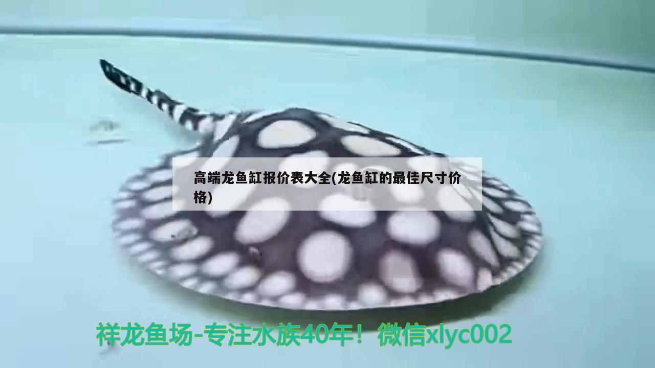 魚缸如何安裝過濾器圖解視頻(魚缸如何安裝過濾器圖解視頻大全) 大白鯊魚