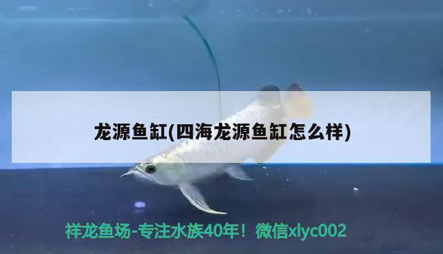 商丘觀賞魚