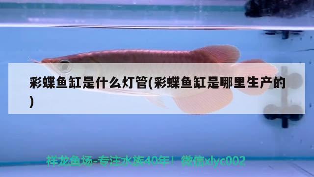 彩蝶魚缸是什么燈管(彩蝶魚缸是哪里生產(chǎn)的)