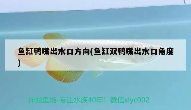 魚缸鴨嘴出水口方向(魚缸雙鴨嘴出水口角度) 狗頭魚