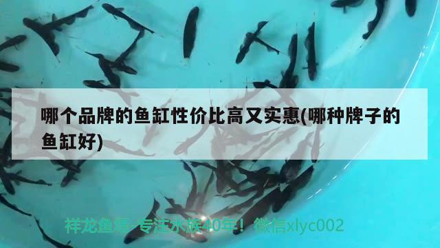 魚缸平面圖紙?jiān)趺串媹D(魚缸的平面圖怎么畫) 名貴錦鯉魚 第3張