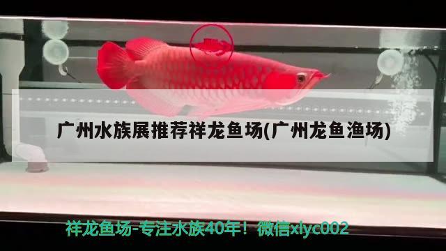 魚(yú)缸加氧泵使用方法圖解大全(魚(yú)缸加氧泵使用方法圖解大全圖片)