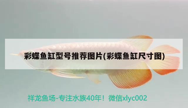 過濾魚缸水渾濁原因和解決方案圖（ 魚缸有過濾器水渾濁怎么辦怎么變清） 速倍妥魚糧魚藥