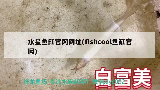 水星魚缸官網(wǎng)網(wǎng)址(fishcool魚缸官網(wǎng)) 肺魚