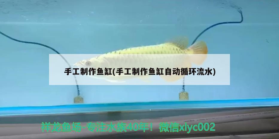 手工制作魚缸(手工制作魚缸自動循環(huán)流水) 福魟魟魚