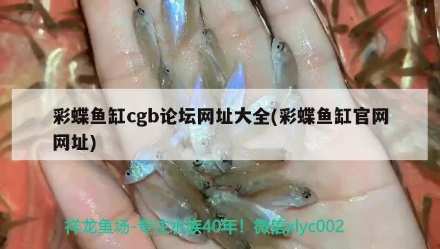 彩蝶魚缸cgb論壇網(wǎng)址大全(彩蝶魚缸官網(wǎng)網(wǎng)址) 觀賞魚