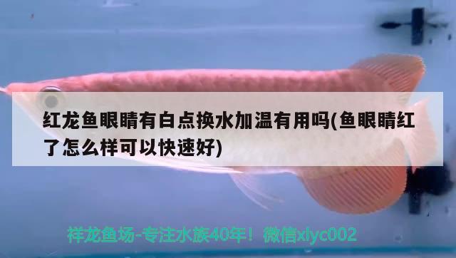 魚缸滲漏怎么辦視頻教學(xué)（魚缸滲水怎樣簡單補漏） 過濾設(shè)備