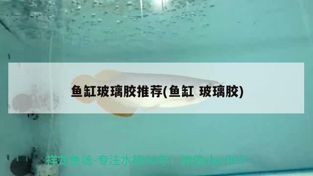 一米二魚缸水泵流量(15米魚缸水泵流量3000可以嗎) 魚缸水泵 第3張