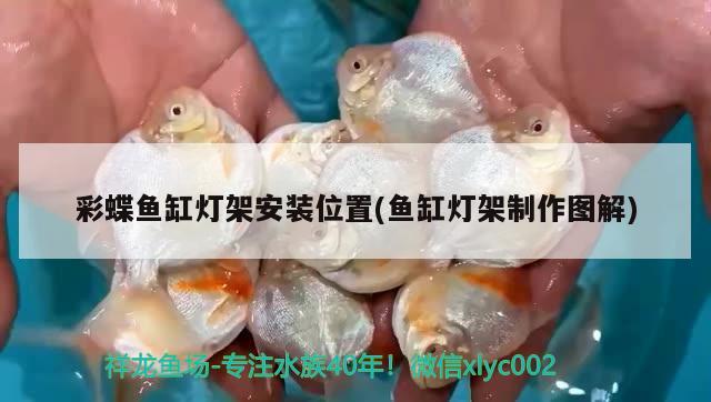 彩蝶魚缸燈架安裝位置(魚缸燈架制作圖解)