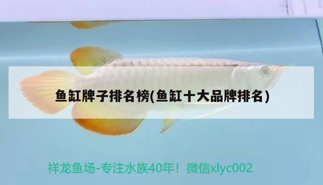 魚缸牌子排名榜(魚缸十大品牌排名)