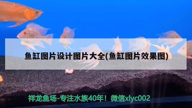 畫魚缸的簡筆畫圖片 畫魚缸的簡筆畫圖片大全 紅白錦鯉魚 第2張