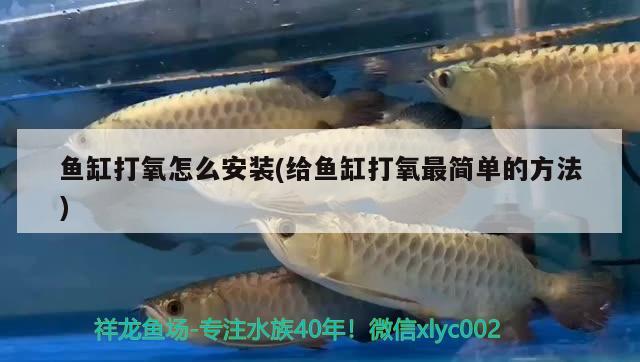 魚缸打氧怎么安裝(給魚缸打氧最簡單的方法)