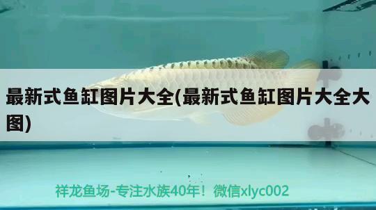 最新式魚(yú)缸圖片大全(最新式魚(yú)缸圖片大全大圖) 羅漢魚(yú)