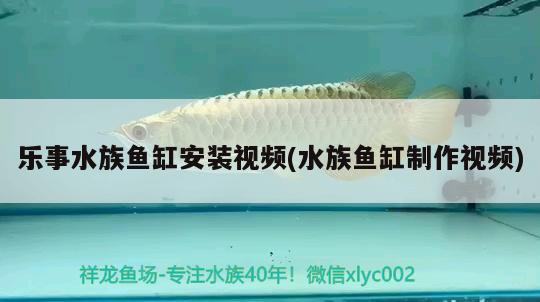 樂(lè)事水族魚缸安裝視頻(水族魚缸制作視頻) 野彩魚