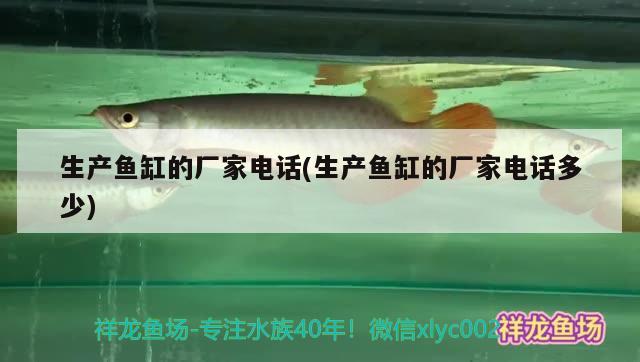 生產(chǎn)魚缸的廠家電話(生產(chǎn)魚缸的廠家電話多少)