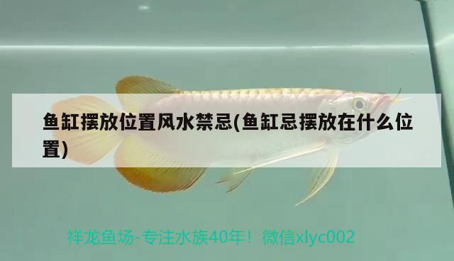 魚缸擺放位置風(fēng)水禁忌(魚缸忌擺放在什么位置) 魚缸風(fēng)水