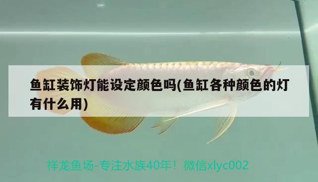 魚缸裝飾燈能設(shè)定顏色嗎(魚缸各種顏色的燈有什么用) 福滿鉆魚