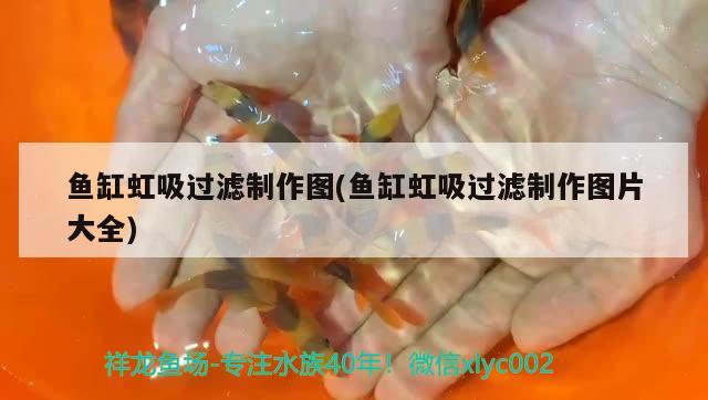 德州二手魚缸轉(zhuǎn)讓信息大全 