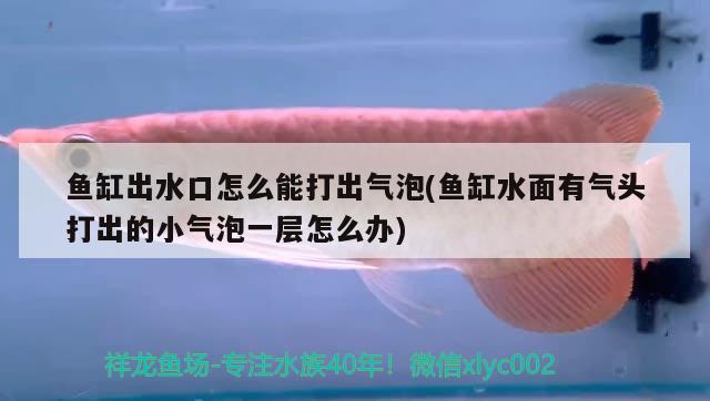 魚(yú)缸出水口怎么能打出氣泡(魚(yú)缸水面有氣頭打出的小氣泡一層怎么辦) 圣菲埃及魚(yú)