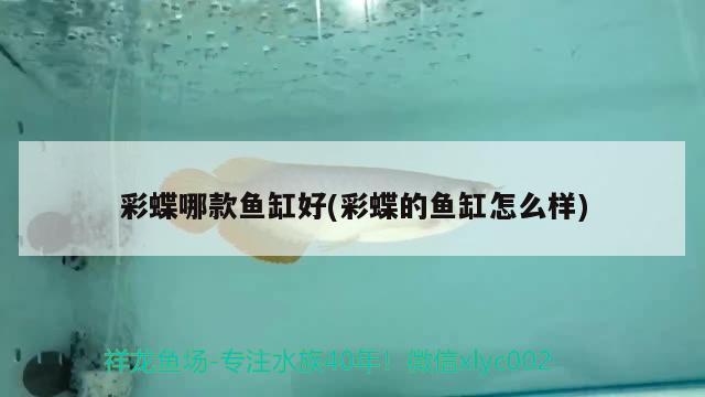 彩蝶哪款魚缸好(彩蝶的魚缸怎么樣)