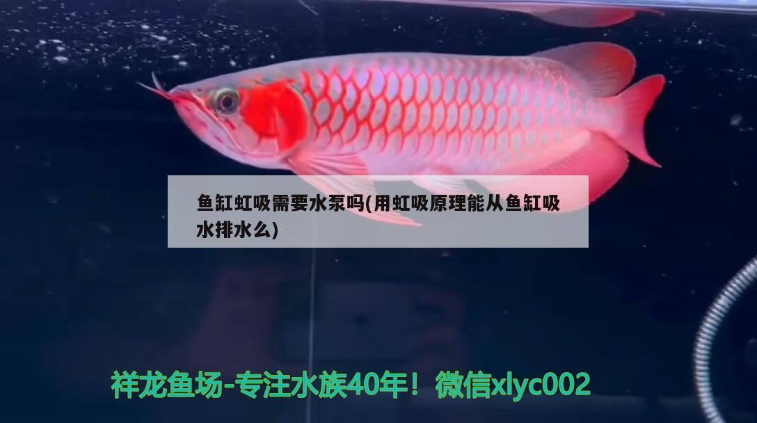 魚(yú)缸虹吸需要水泵嗎(用虹吸原理能從魚(yú)缸吸水排水么)