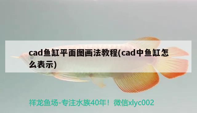 cad魚缸平面圖畫法教程(cad中魚缸怎么表示) 印尼紅龍魚