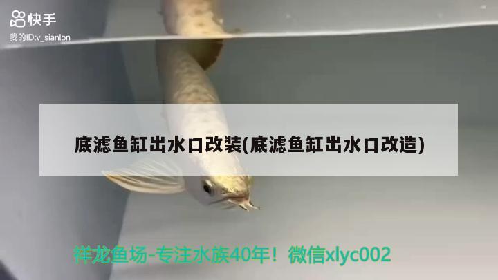 底濾魚缸出水口改裝(底濾魚缸出水口改造) 斑馬鴨嘴魚苗