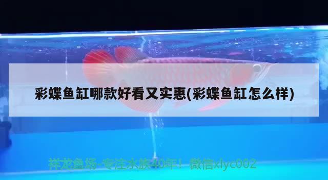 老鼠魚是什么魚 水族周邊