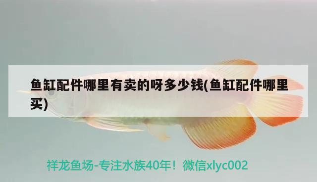 魚缸配件哪里有賣的呀多少錢(魚缸配件哪里買) 雙線側(cè)魚