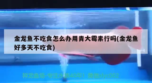 嘉峪關(guān)至尊宏鼎水族店 全國水族館企業(yè)名錄 第4張