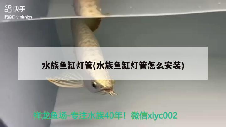 水族魚缸燈管(水族魚缸燈管怎么安裝) 帝王三間魚