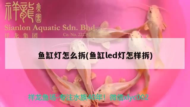 魚缸燈怎么拆(魚缸led燈怎樣拆) 潛水泵