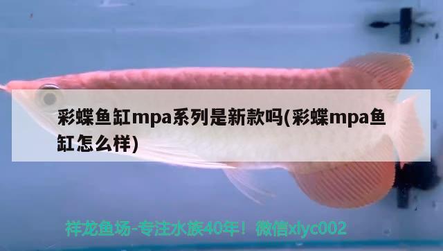 彩蝶魚缸mpa系列是新款嗎(彩蝶mpa魚缸怎么樣) 印尼三紋虎