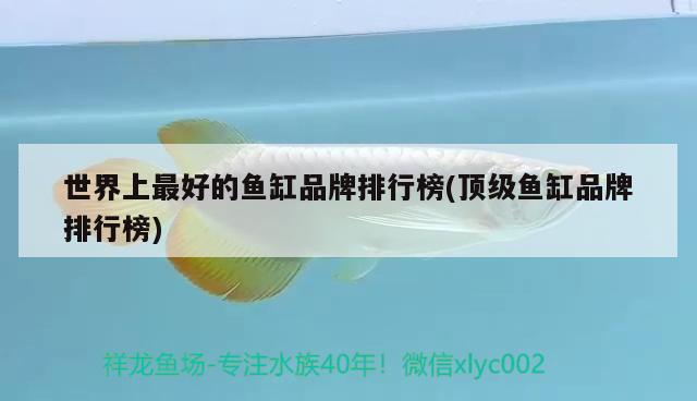 蓋州市鼓樓辦事處鴻興觀賞魚店 全國水族館企業(yè)名錄 第3張