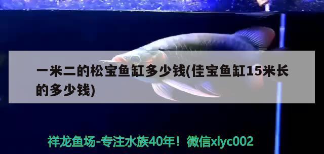 一米二的松寶魚(yú)缸多少錢(qián)(佳寶魚(yú)缸15米長(zhǎng)的多少錢(qián)) 魟魚(yú)百科