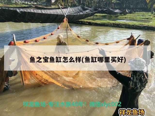 魚之寶魚缸怎么樣(魚缸哪里買好)