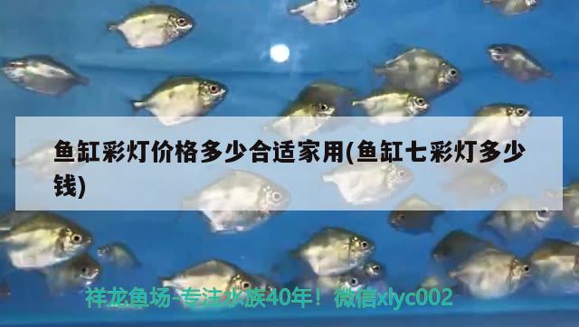 養(yǎng)金龍魚用什么燈比較好  養(yǎng)魚的好處 第2張