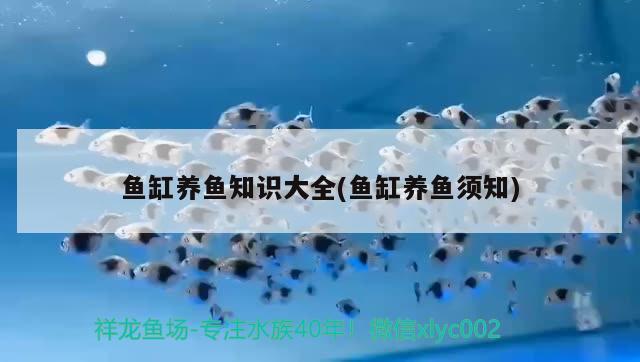 蓋州市鼓樓辦事處鴻興觀賞魚店 全國水族館企業(yè)名錄 第1張