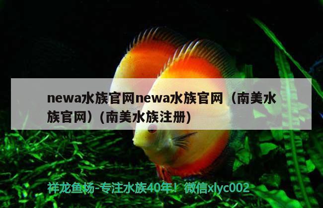 newa水族官網(wǎng)newa水族官網(wǎng)（南美水族官網(wǎng)）(南美水族注冊(cè)) 黑白雙星魚(yú) 第3張