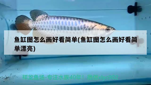 魚缸圖怎么畫好看簡單(魚缸圖怎么畫好看簡單漂亮)