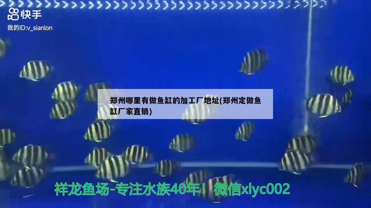 鄭州哪里有做魚(yú)缸的加工廠(chǎng)地址(鄭州定做魚(yú)缸廠(chǎng)家直銷(xiāo)) 招財(cái)戰(zhàn)船魚(yú)