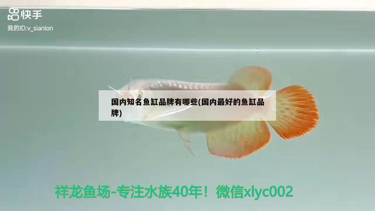 魚缸水放多久才能養(yǎng)魚呢：魚缸的水放置幾天可以養(yǎng)魚 黑水素